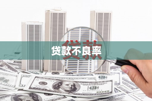 丰县贷款不良率