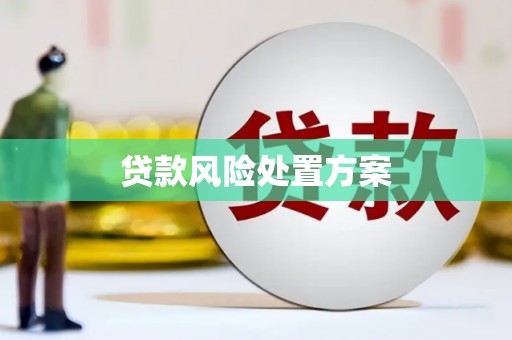 丰县贷款风险处置方案