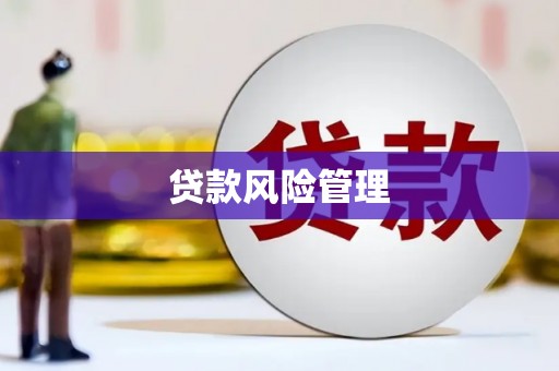 丰县贷款风险管理