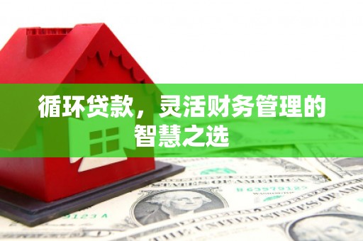 丰县循环贷款，灵活财务管理的智慧之选