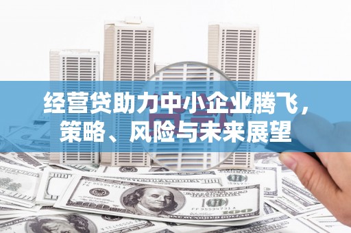 丰县经营贷助力中小企业腾飞，策略、风险与未来展望