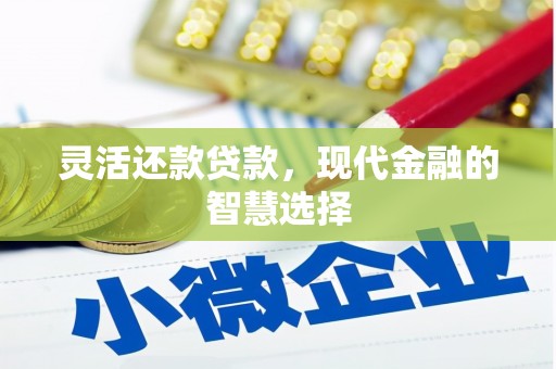 丰县灵活还款贷款，现代金融的智慧选择