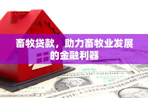 丰县畜牧贷款，助力畜牧业发展的金融利器