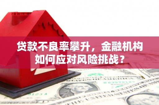 丰县贷款不良率攀升，金融机构如何应对风险挑战？