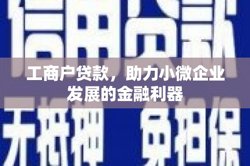 丰县工商户贷款，助力小微企业发展的金融利器