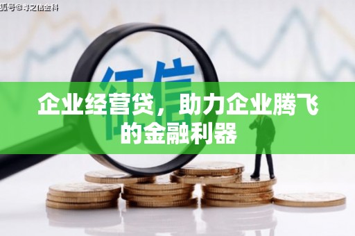 丰县企业经营贷，助力企业腾飞的金融利器