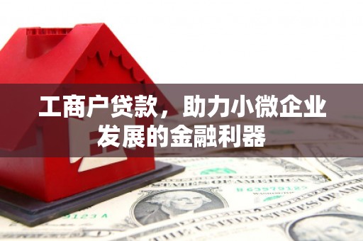 丰县工商户贷款，助力小微企业发展的金融利器
