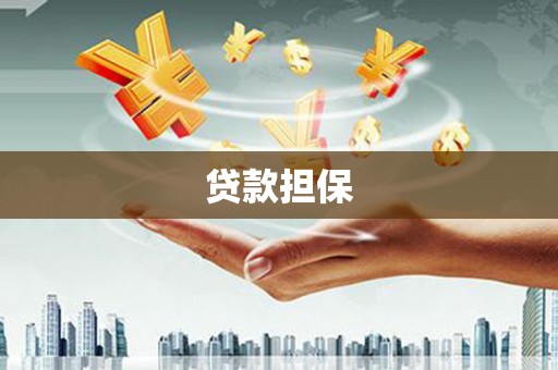 丰县贷款担保