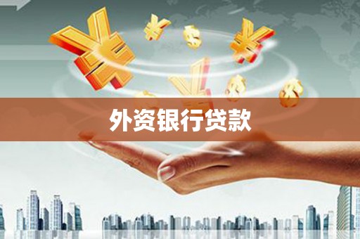 丰县外资银行贷款