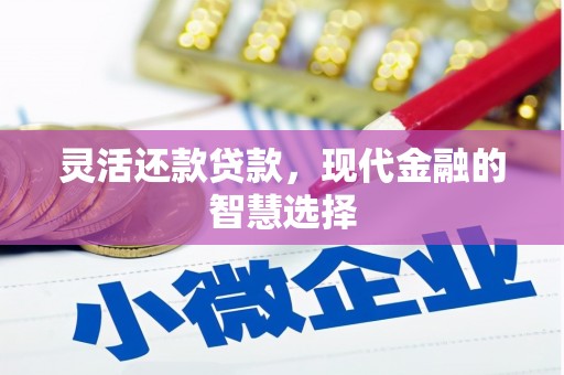 丰县灵活还款贷款，现代金融的智慧选择