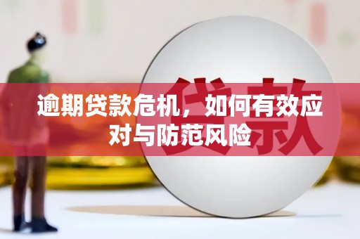 丰县逾期贷款危机，如何有效应对与防范风险