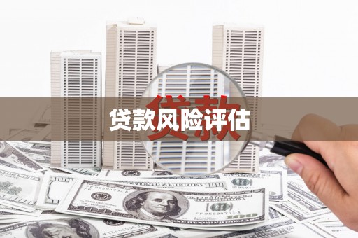 丰县贷款风险评估