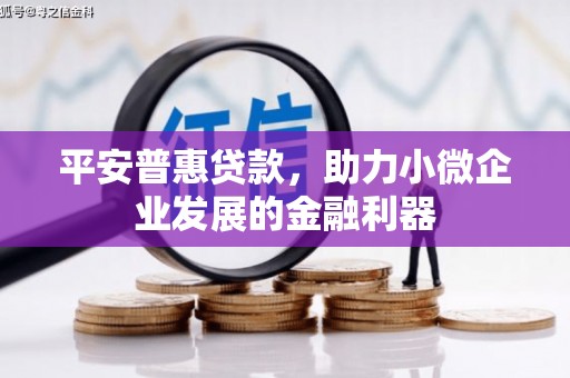 丰县平安普惠贷款，助力小微企业发展的金融利器
