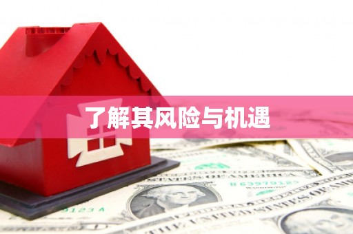 丰县了解其风险与机遇