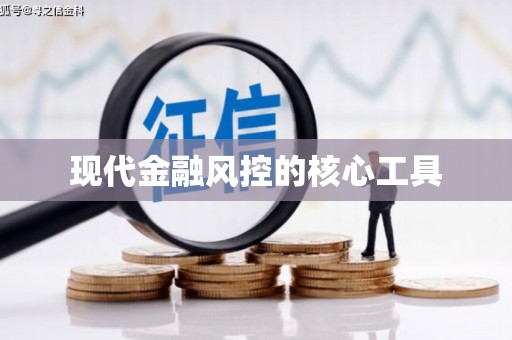 丰县现代金融风控的核心工具