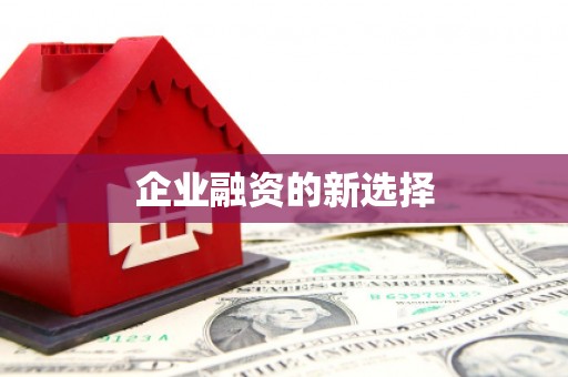 丰县企业融资的新选择