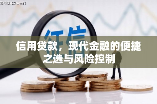 丰县信用贷款，现代金融的便捷之选与风险控制