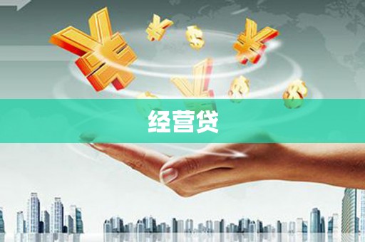 丰县经营贷