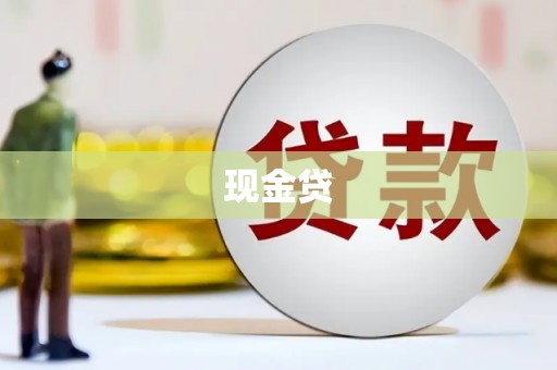 丰县现金贷