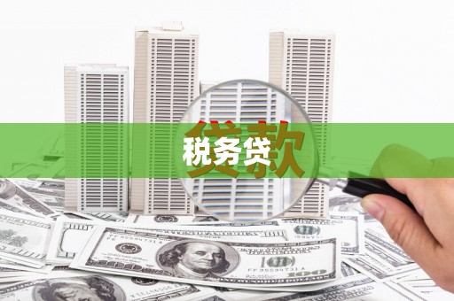 丰县税务贷