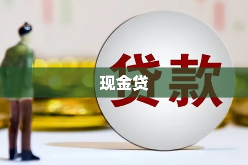 丰县现金贷