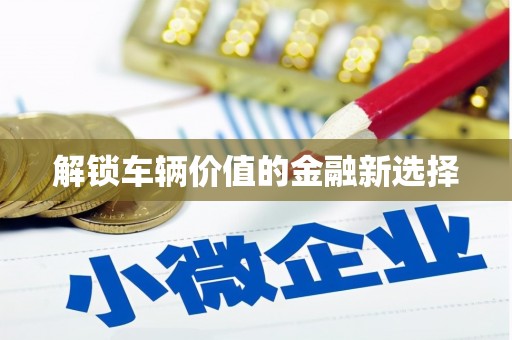 丰县解锁车辆价值的金融新选择