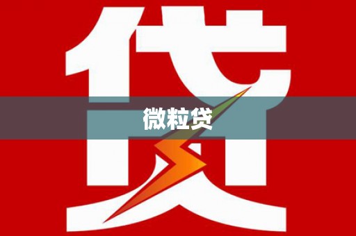丰县微粒贷
