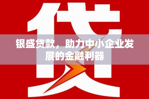 丰县银盛贷款，助力中小企业发展的金融利器