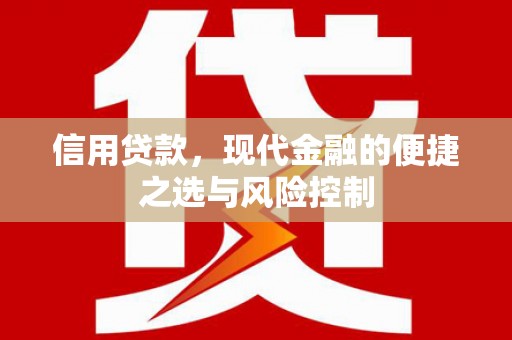 丰县信用贷款，现代金融的便捷之选与风险控制