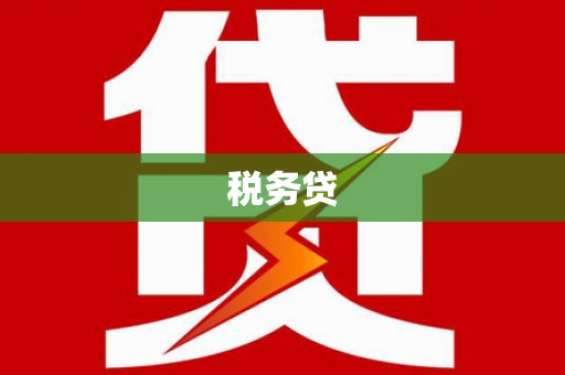 丰县税务贷