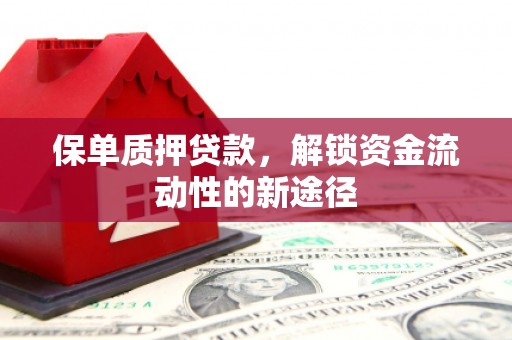 丰县保单质押贷款，解锁资金流动性的新途径
