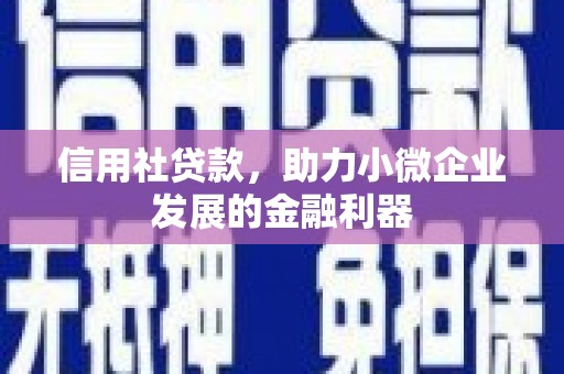 丰县信用社贷款，助力小微企业发展的金融利器