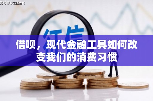 丰县借呗，现代金融工具如何改变我们的消费习惯