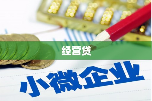 丰县经营贷