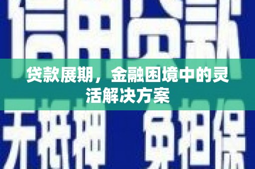丰县贷款展期，金融困境中的灵活解决方案