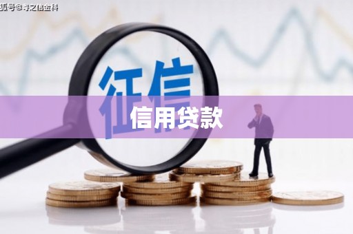 丰县信用贷款