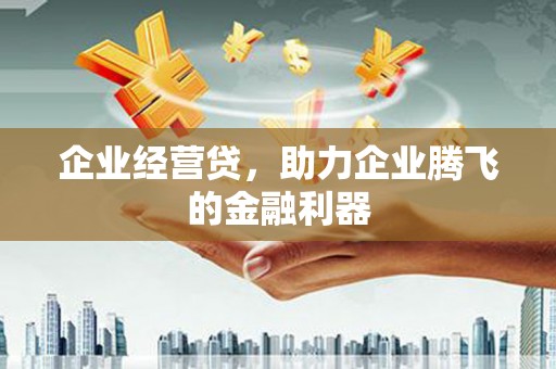 丰县企业经营贷，助力企业腾飞的金融利器