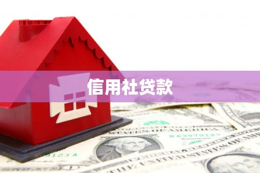 丰县信用社贷款