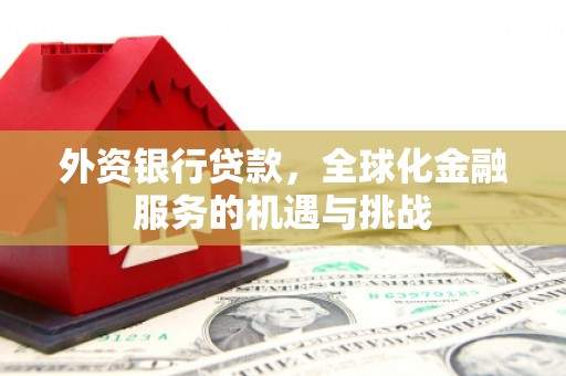 丰县外资银行贷款，全球化金融服务的机遇与挑战