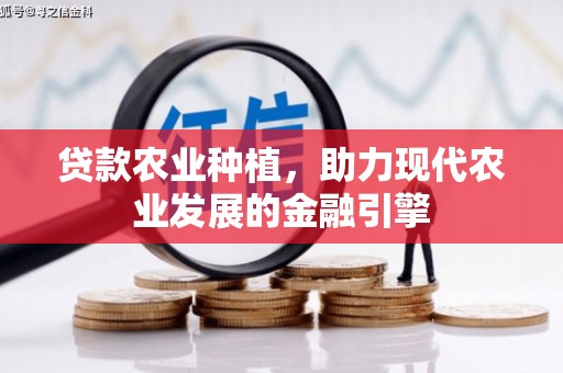 丰县贷款农业种植，助力现代农业发展的金融引擎