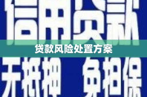 丰县贷款风险处置方案