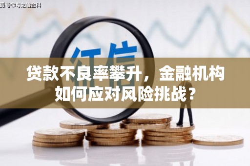 丰县贷款不良率攀升，金融机构如何应对风险挑战？