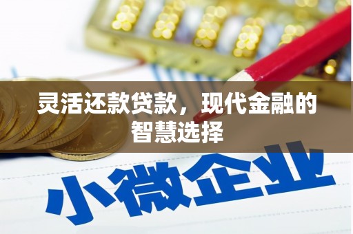 丰县灵活还款贷款，现代金融的智慧选择