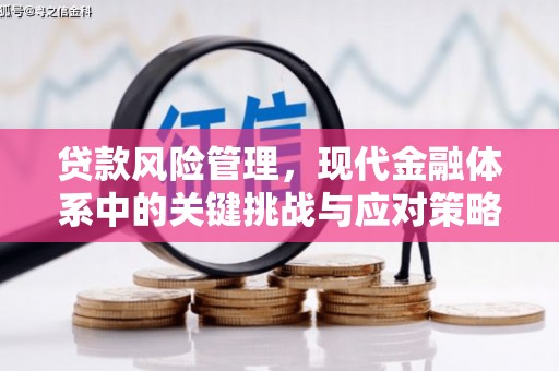 丰县贷款风险管理，现代金融体系中的关键挑战与应对策略