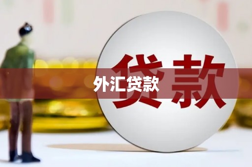 丰县外汇贷款