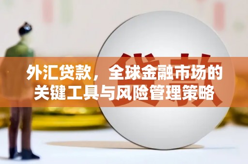 丰县外汇贷款，全球金融市场的关键工具与风险管理策略