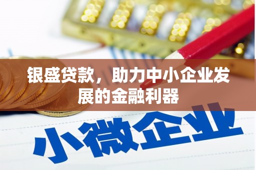 丰县银盛贷款，助力中小企业发展的金融利器