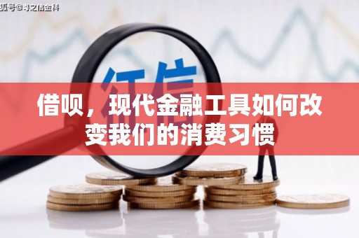 丰县借呗，现代金融工具如何改变我们的消费习惯