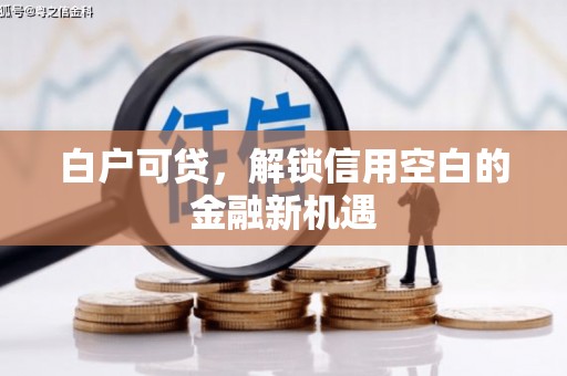丰县白户可贷，解锁信用空白的金融新机遇