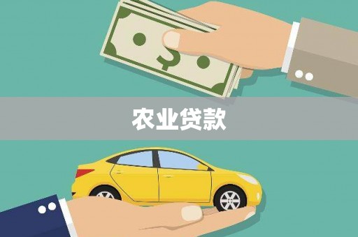 丰县农业贷款